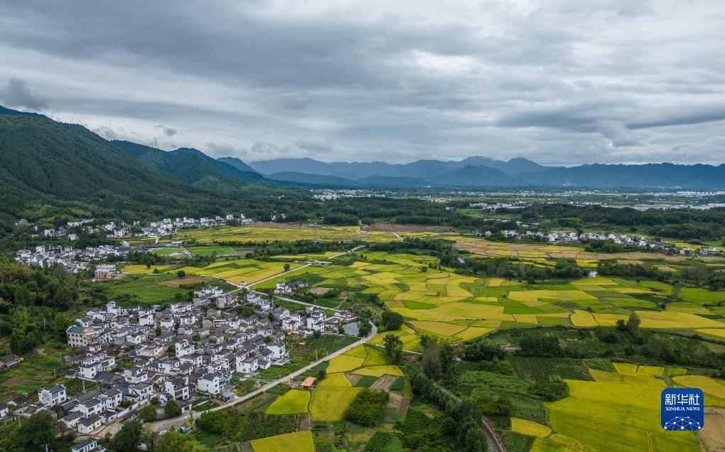 糖果派对吧